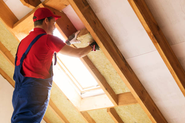 Best Soundproof Insulation  in Rayville, LA